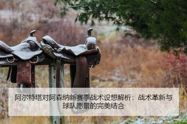 阿尔特塔对阿森纳新赛季战术设想解析：战术革新与球队愿景的完美结合