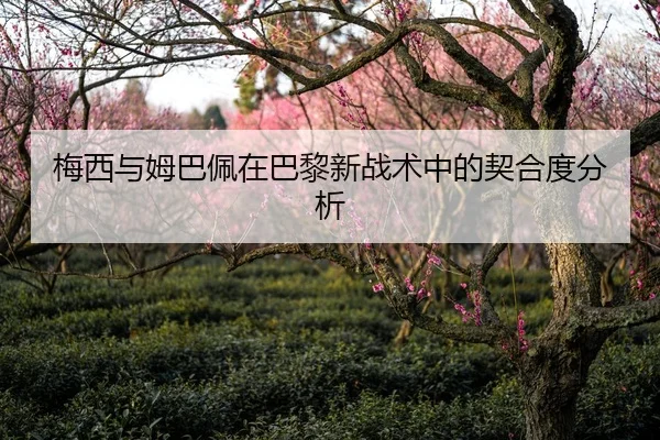 梅西与姆巴佩在巴黎新战术中的契合度分析